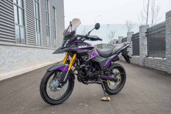 RAM TE PR PRO, 2025 г.