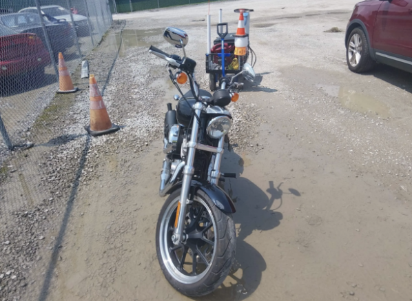 Harley-Davidson Sportster XL883 SuperLow, 2015 г.