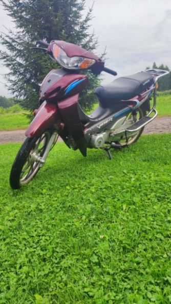Viper Active, 2008 г.