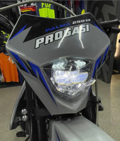 Progasi Palma 250 SE, 2024 г.