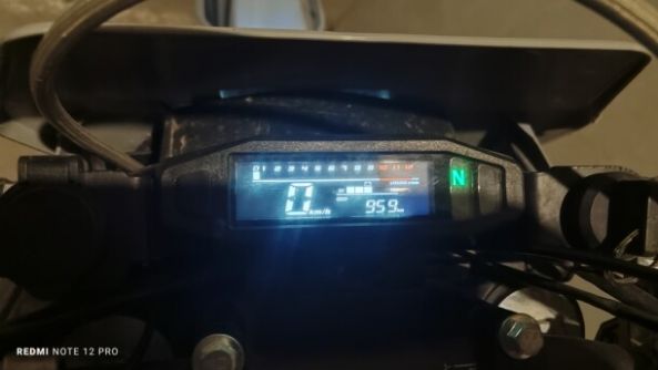 Progasi PALMA 250 ZS172FMM, 2024 г.