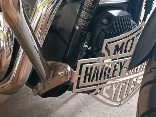 Harley-Davidson Dyna FXDB, 2009 г.