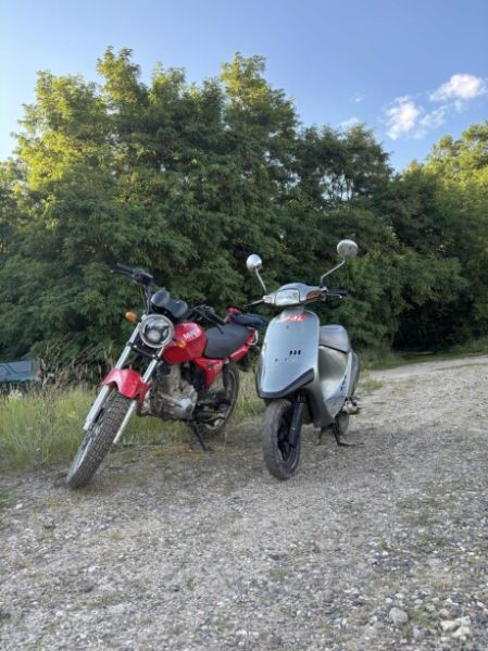 Honda Dio pall, 1988 г.