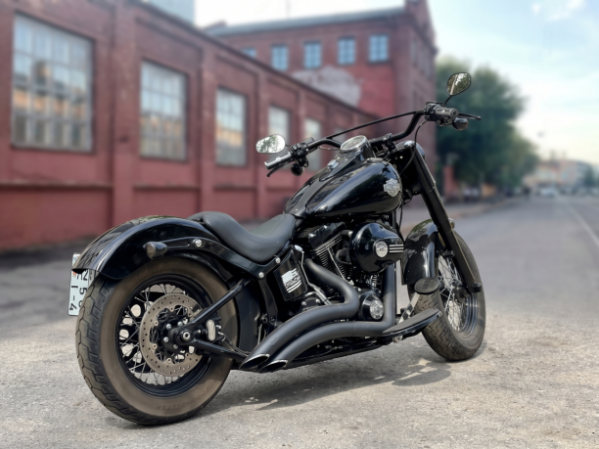 Harley-Davidson Softail FLSS Slim S 110, 2016 г.