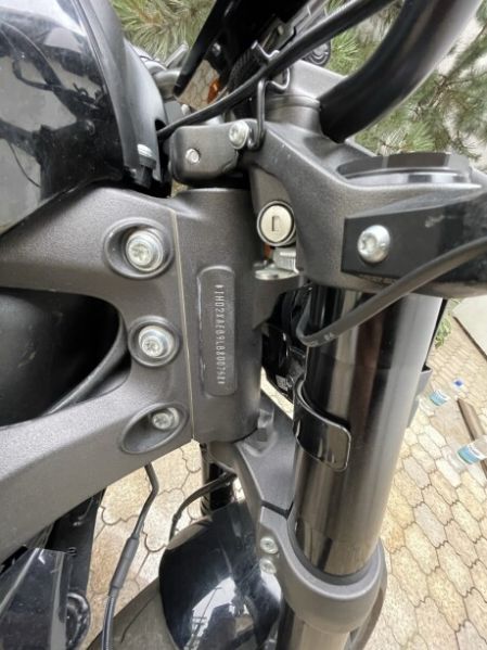 Harley-Davidson LiveWire, 2020 г.