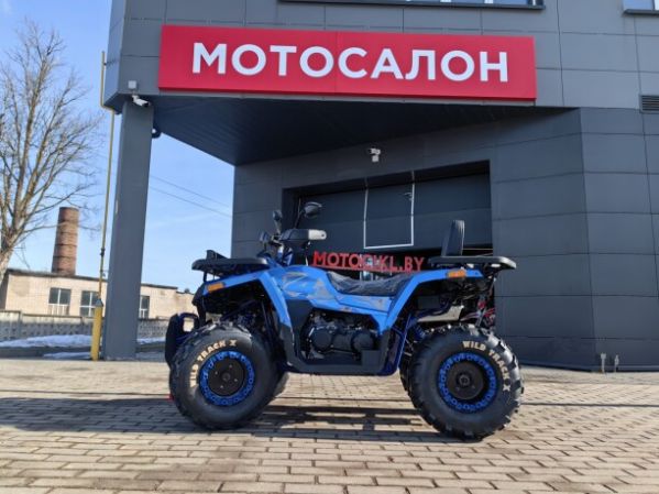 Motoland Wild Track 200 X WINCH, 2025 г.
