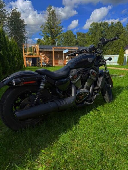Harley-Davidson Nightster, 2024 г.