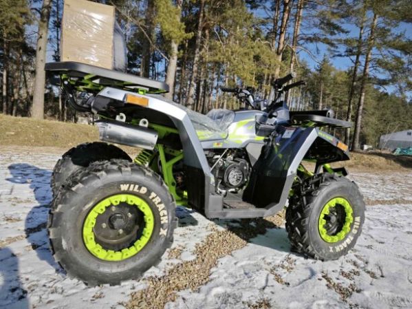 Motoland Wild Track 200 X WINCH, 2025 г.