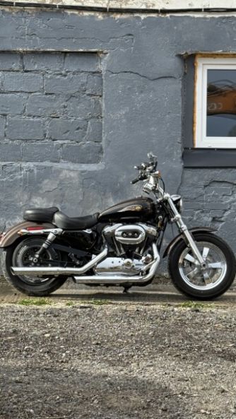 Harley-Davidson Sportster XL1200C anniversary, 2013 г.