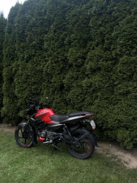 BAJAJ Pulsar, 2020 г.