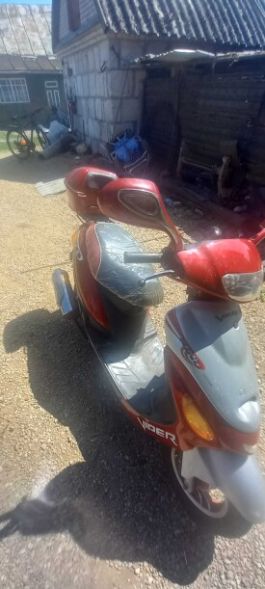 Viper Active, 2007 г.