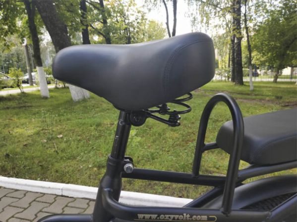 Эксклюзив Редкая модель E-motions Dacha Premium 500w, 2024 г.