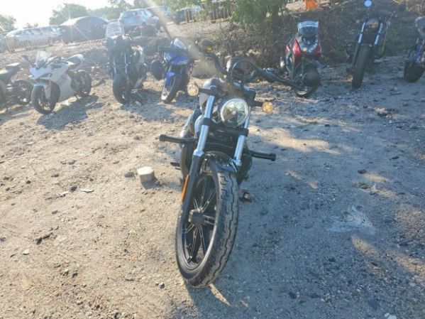 Harley-Davidson Street RH975, 2024 г.