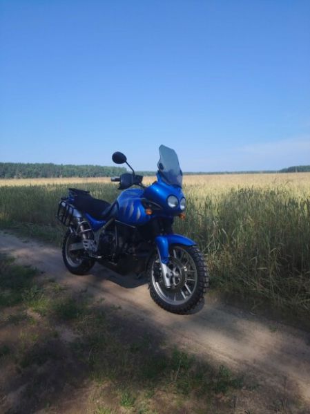 Triumph Tiger 955i, 2006 г.