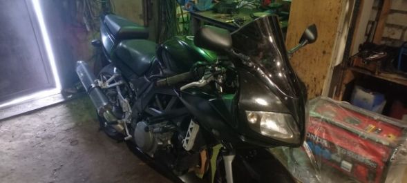Suzuki SV, 2005 г.