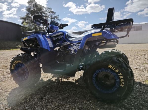 Motoland Wild Track 200 LUX, 2025 г.
