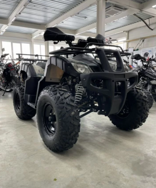 Motoland 200 All Road, 2024 г.