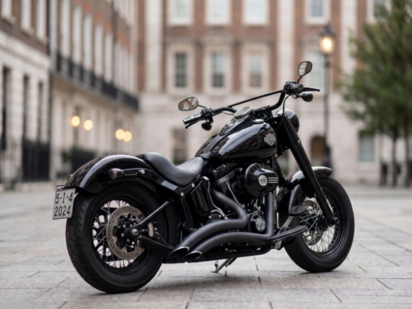Harley-Davidson Softail FLSS Slim S 110, 2016 г.