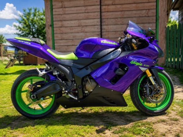 Kawasaki ZXR, 2005 г.