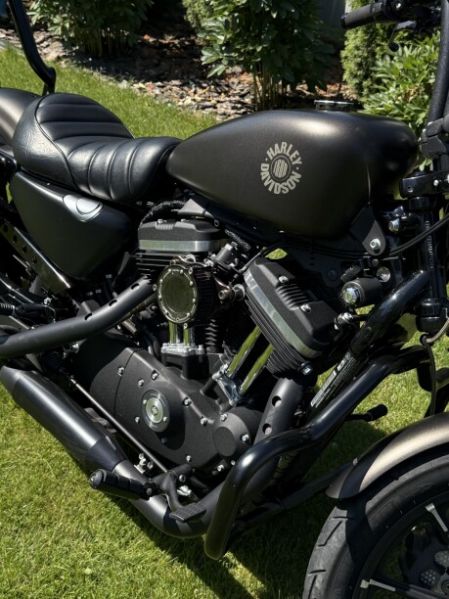 Harley-Davidson Sportster 883N, 2021 г.