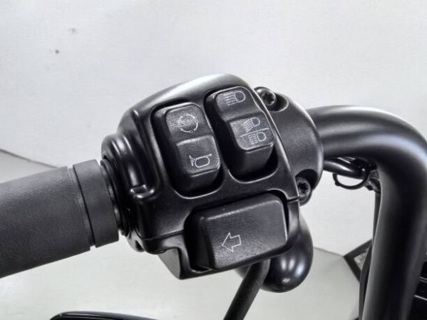 Harley-Davidson Sportster 1200, 2021 г.