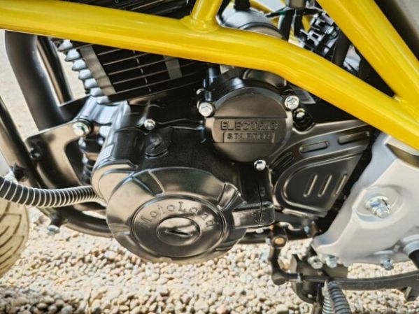 Motoland Scrambler , 2025 г.