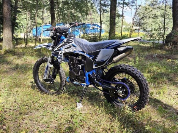Progasi PALMA 300 NG, 2026 г.
