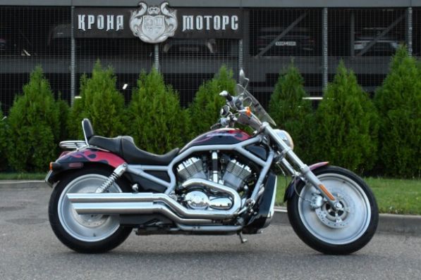 Harley-Davidson V-Rod 100th Anniversary, 2003 г.