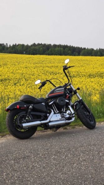 Harley-Davidson Sportster XL1200 Forty Eight Special, 2019 г.