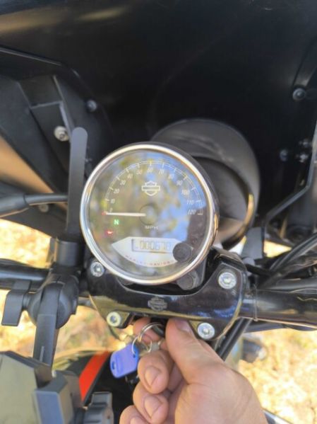 Harley-Davidson Street Rod XG750, 2020 г.