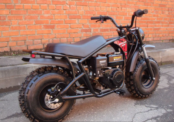 Motoland TT RT 200, 2024 г.