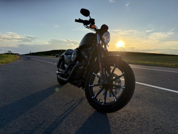 Harley-Davidson Sportster XL883 iron, 2019 г.