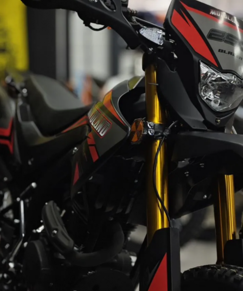 Motoland BLAZER 250 ENDURO, 2025 г.