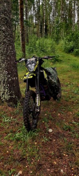 Progasi RACE 300 WAIF, 2024 г.