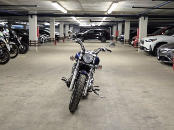 Yamaha XVS 1100, 2007 г.