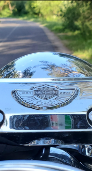 Harley-Davidson Fat Boy 100th Anniversary, 2003 г.