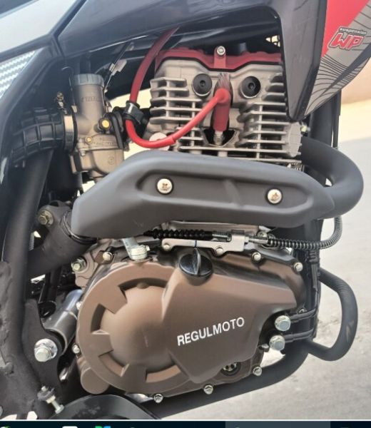 Regulmoto TE PR OIL 4 VALVES, 2026 г.
