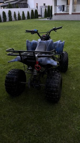 KXD Warrior, 2015 г.