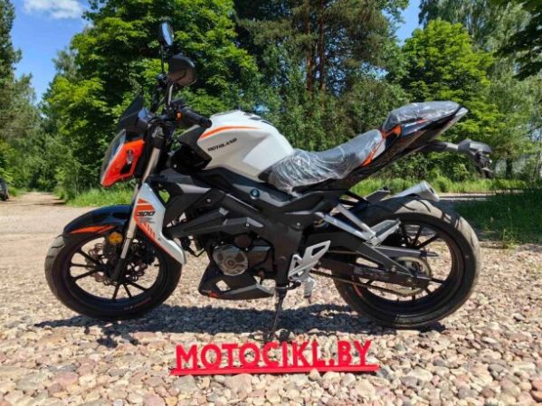 Motoland WASP 300, 2026 г.