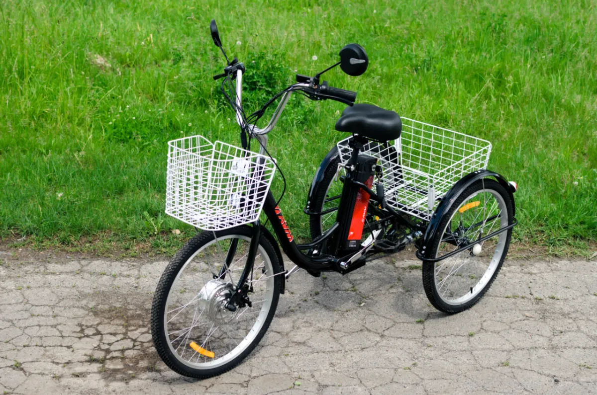  AVM E-ALFA TRIKE 24, 2026 г.