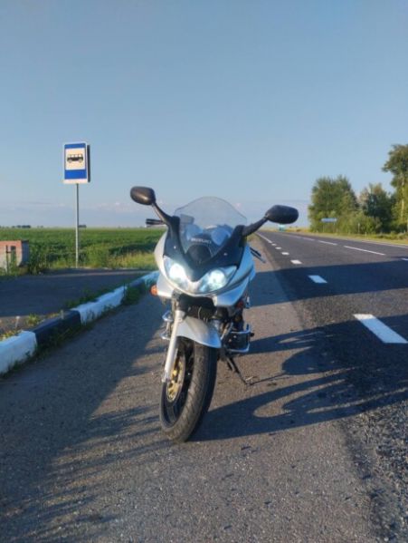 Suzuki GSF, 2003 г.