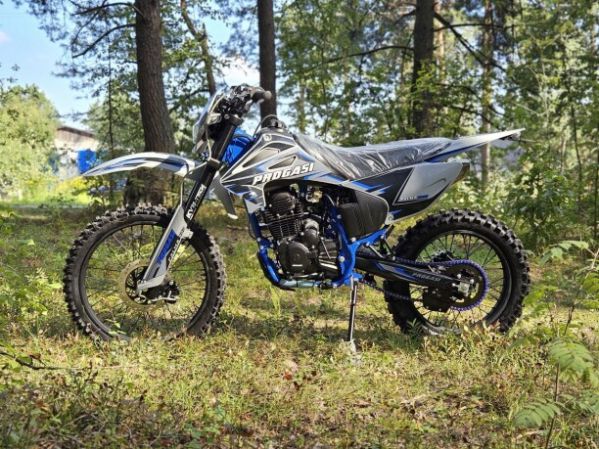Progasi PALMA 300 NG, 2026 г.