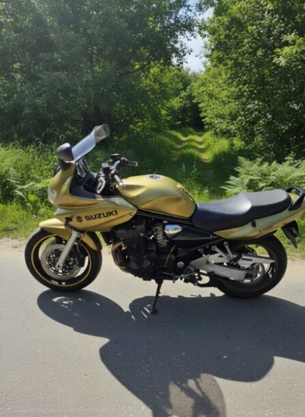 Suzuki Bandit, 2005 г.