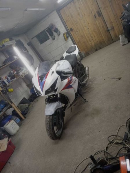 Honda CBR, 1999 г.