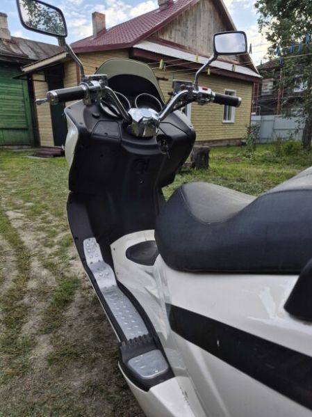 Nexus Roar, 2012 г.