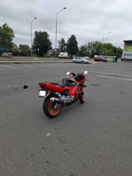 Honda CBR F3, 1995 г.