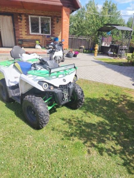 Motoland Shark Motolend schark 200, 2024 г.