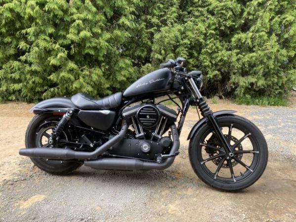 Harley-Davidson Sportster 883, 2019 г.