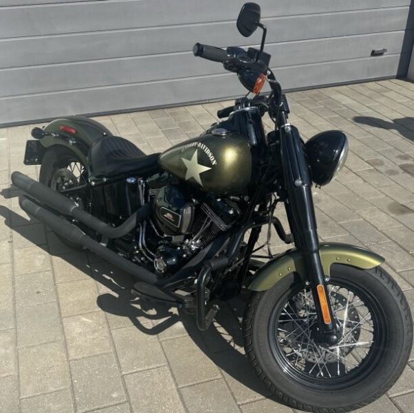 Harley-Davidson Softail FLSS, 2016 г.