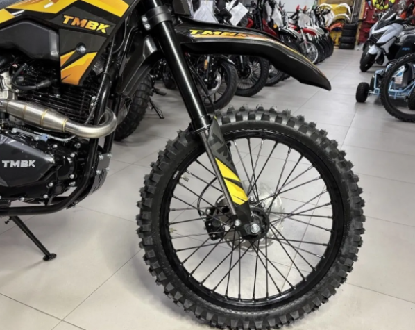 TMBK ENVY 300 PRO, 2026 г.